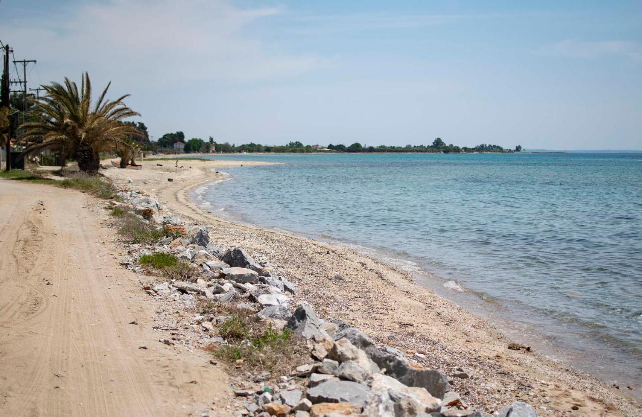 Clio Beach House By Travel Pro Services - Metochi Halkidiki Sozopoli Zewnętrze zdjęcie
