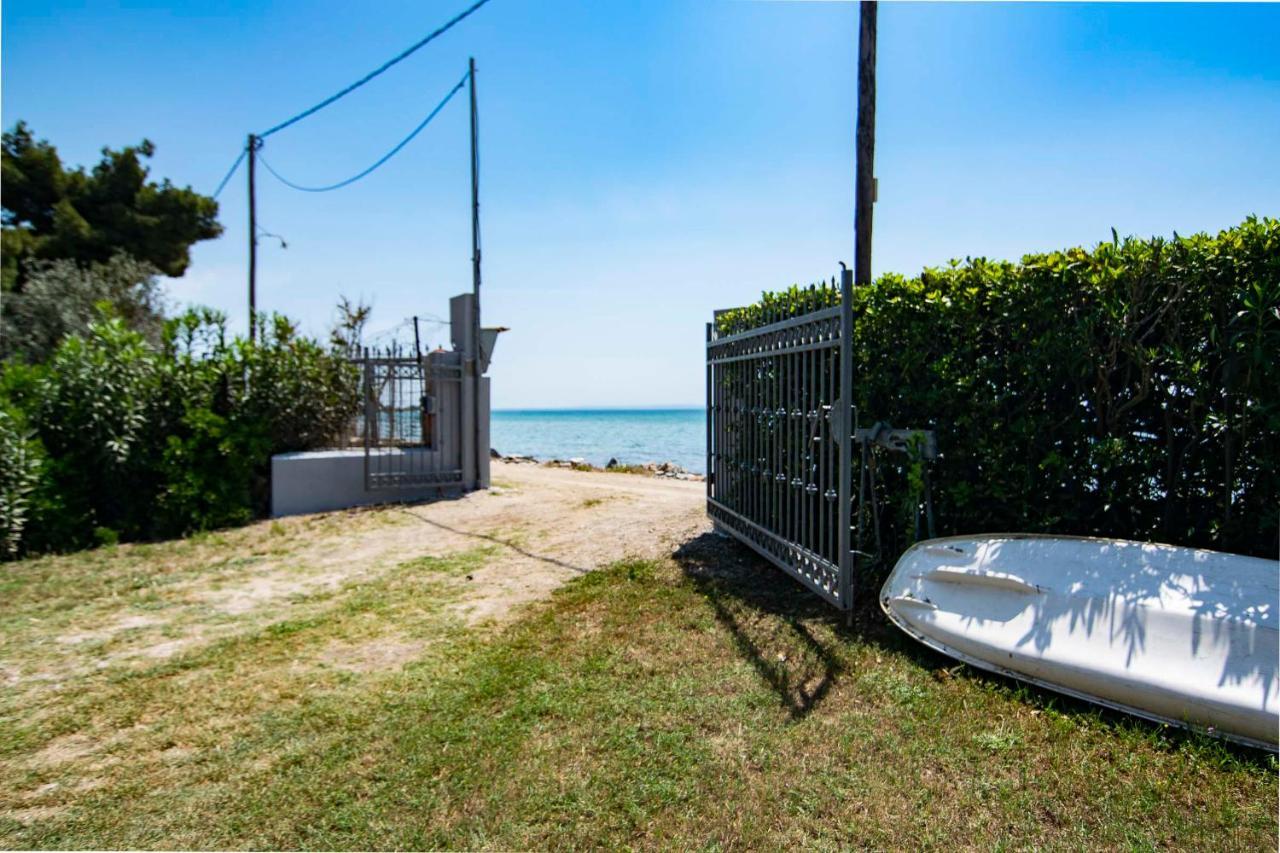 Clio Beach House By Travel Pro Services - Metochi Halkidiki Sozopoli Zewnętrze zdjęcie