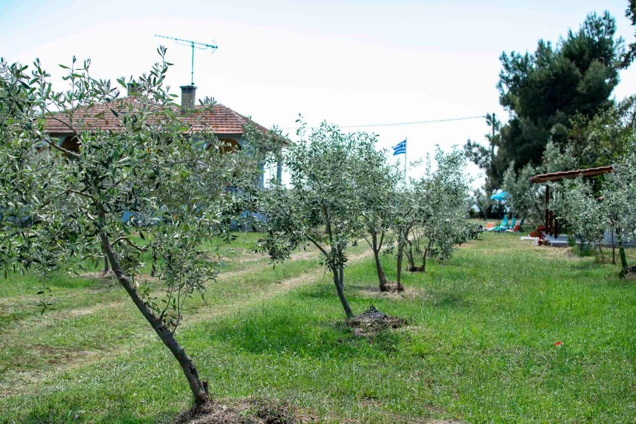 Clio Beach House By Travel Pro Services - Metochi Halkidiki Sozopoli Zewnętrze zdjęcie
